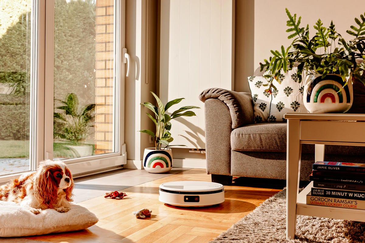 Roomba Max 705 Combo identyfikuje psie zabawki na podłodze w salonie, obok wypoczywa w posłaniu pies